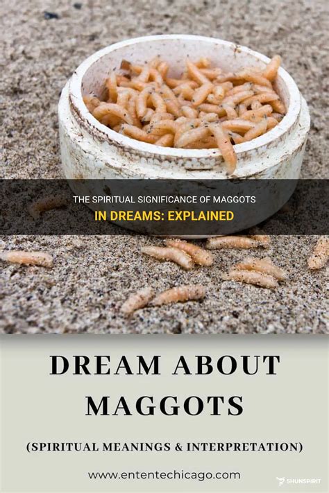 spiritual meaning of maggots|dream meaning maggots.